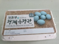 청계복지농장