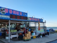 쌍둥이네횟집
