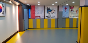 한국대룡태권도