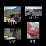 송백흑염소 장흥본점