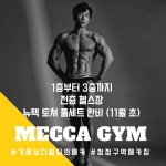 메카짐