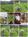 후평동