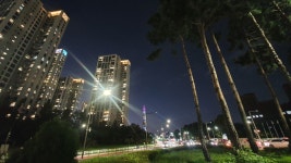 단지내 황금공인중개사사무소