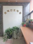 춘해간호학원