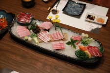 본참치