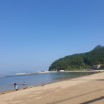 사량도 콘도식 민박 105
