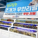 황금조개 튼튼장어