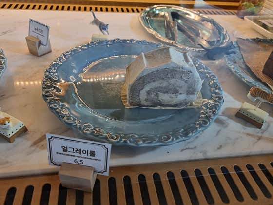 커피샤워 사진