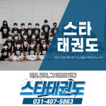 한양대스타태권도