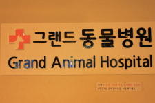 그랜드 동물병원