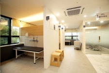 밸런스본마취통증의학과의원