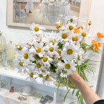 로망드팔레트