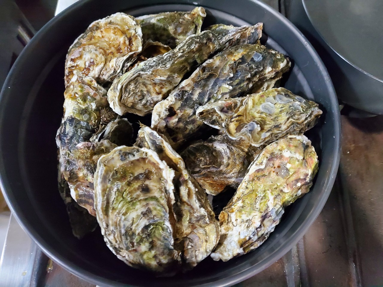 임선생해물천국 회/해산물