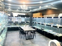 나눔펫 책임분양소 강아지분양 일산점