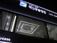 고양이 병원 백산동물병원