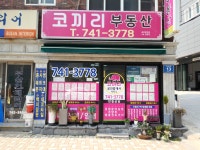 코끼리부동산중개
