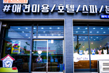 펫플러스라이프 애견미용호텔유치원 24시간돌봄센타