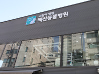 고양이 병원 백산동물병원