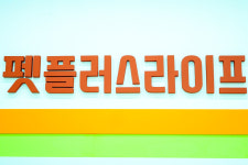 펫플러스라이프 애견미용호텔유치원 24시간돌봄센타