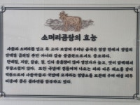 한우소머리곰탕.수육[정식당]