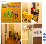 팜퓨리 스칼프메디슨 일산본점