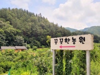 꿋꿋한농원