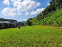 도그피아애견훈련학교