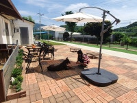 도그피아애견훈련학교