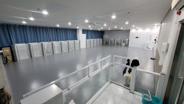 놀러왕왕왕 애견유치원.애견미용.애견호텔