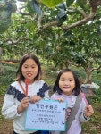 진영단감 영진농원