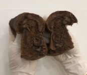 스프레드 아산본점