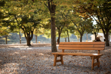 외룡캠핑장