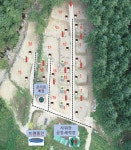 모짜르트