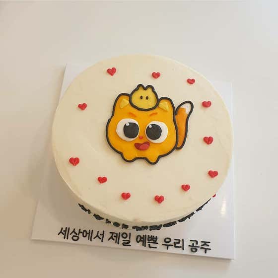 솜솜케이크 사진
