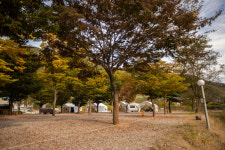 외룡캠핑장