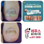 레푸스 울산범서점