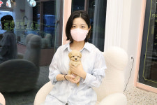 플랜멍 강아지분양 대구본점