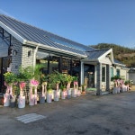 소담