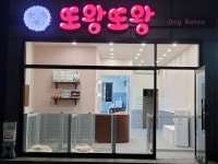 또왕또왕 Dog Salon