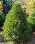 솔바위농원