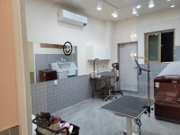 또왕또왕 Dog Salon