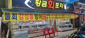 황금회포차 용봉점