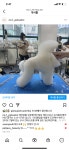 넘버원펫살롱