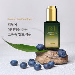 이디코리아