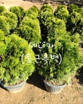 솔바위농원