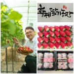 황제딸기농장