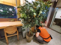 하나방역 금정지점