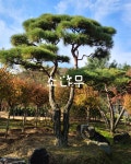 솔바위농원