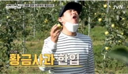 파파농장