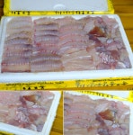 영암수산